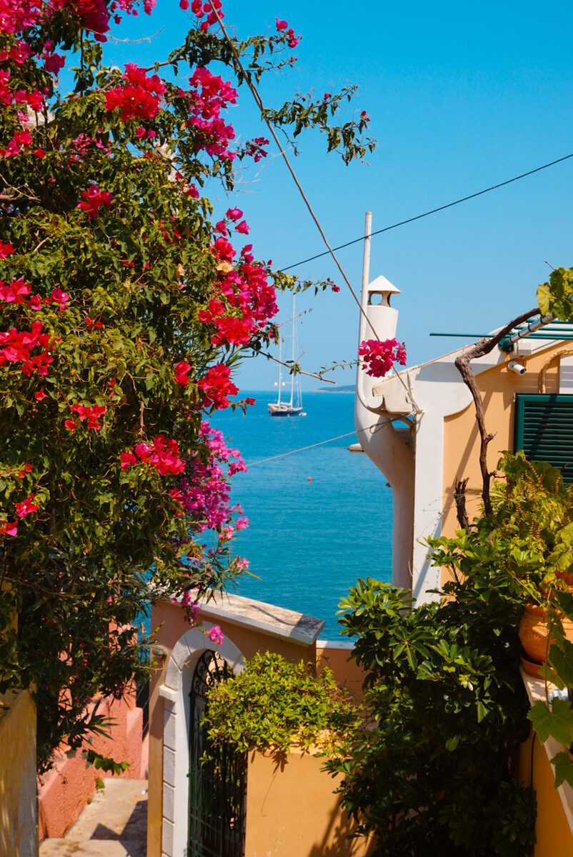 Kefalonia Bloemen in Asos