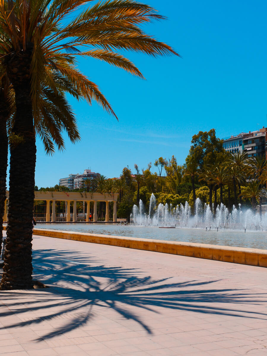 Valencia Jardin del Turia Palmbomen